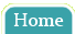 The Work At Home Woman
