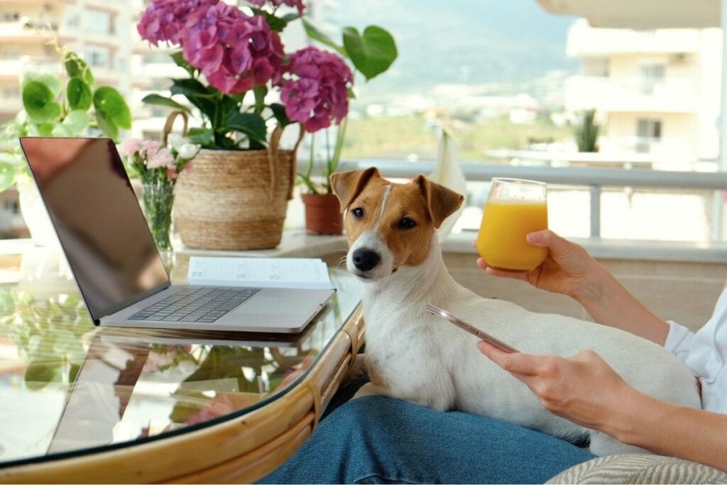 Una mujer que trabaja desde casa, al aire libre en un patio, sosteniendo un perro pequeño en su regazo.