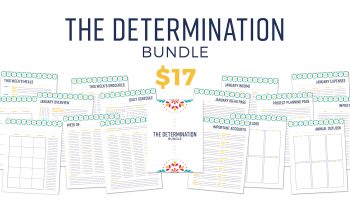 The Determination Bundle $17