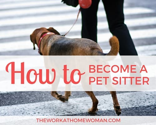 How to Become a Professional Pet Sitter