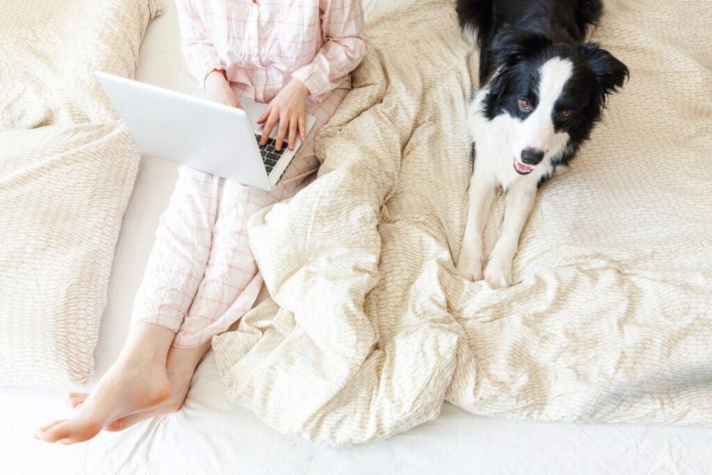 A woman wearing pajamas and working in bed on a laptop with her dog next to her.