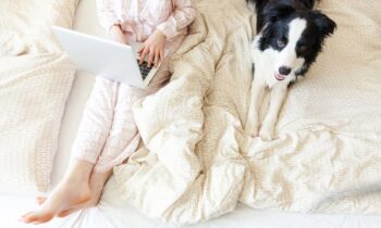 A woman wearing pajamas and working in bed on a laptop with her dog next to her.