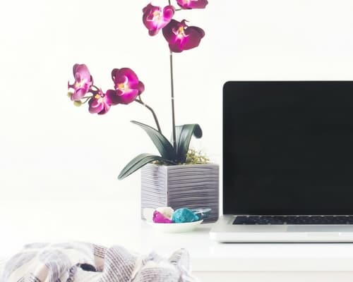 How Jessica Earns $27,000 a Month From Her Coaching Business