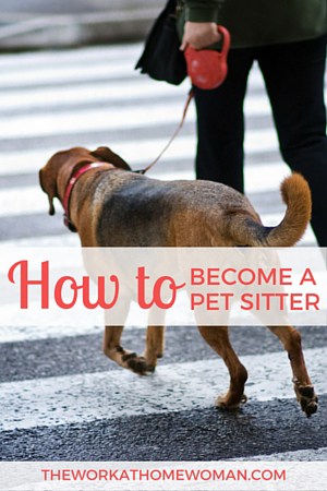 How to Become a Professional Pet Sitter