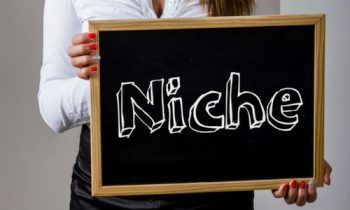 Too Many Ideas? The Journey to Finding Your Personal Niche