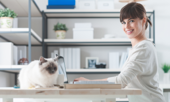 Women working from home as a medical coder and biller with her cat sitting on the desk