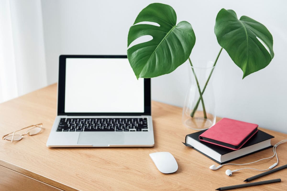 A remote worker's desk with a laptop, plant, and notebooks.
