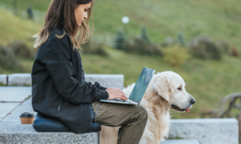 young woman outdoors on a laptop doing her weekend jobs with her dog next to her