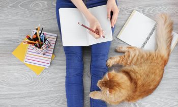 woman writing with cat next to her - pet business ideas and jobs